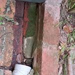 Back door bricks - side drain start near the kitchen back door - towards front of house down the side.jpeg