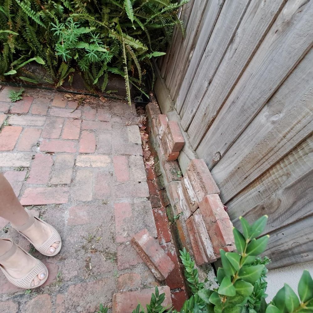 Back door bricks - side of property bricks sloping slightly to side drain.jpeg