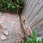 Back door bricks - side of property bricks sloping slightly to side drain.jpeg