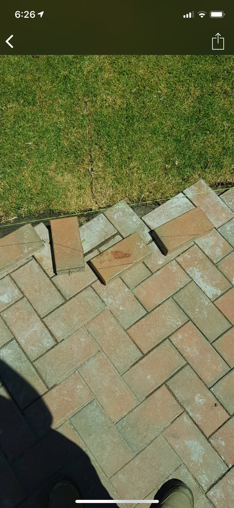 Example of the intended paving pattern