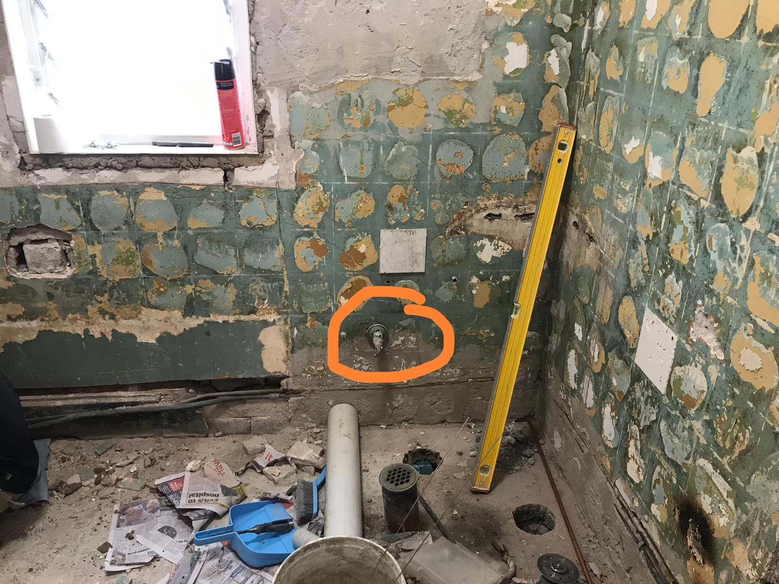 Clean or replace bathroom ceiling? | Bunnings Workshop community