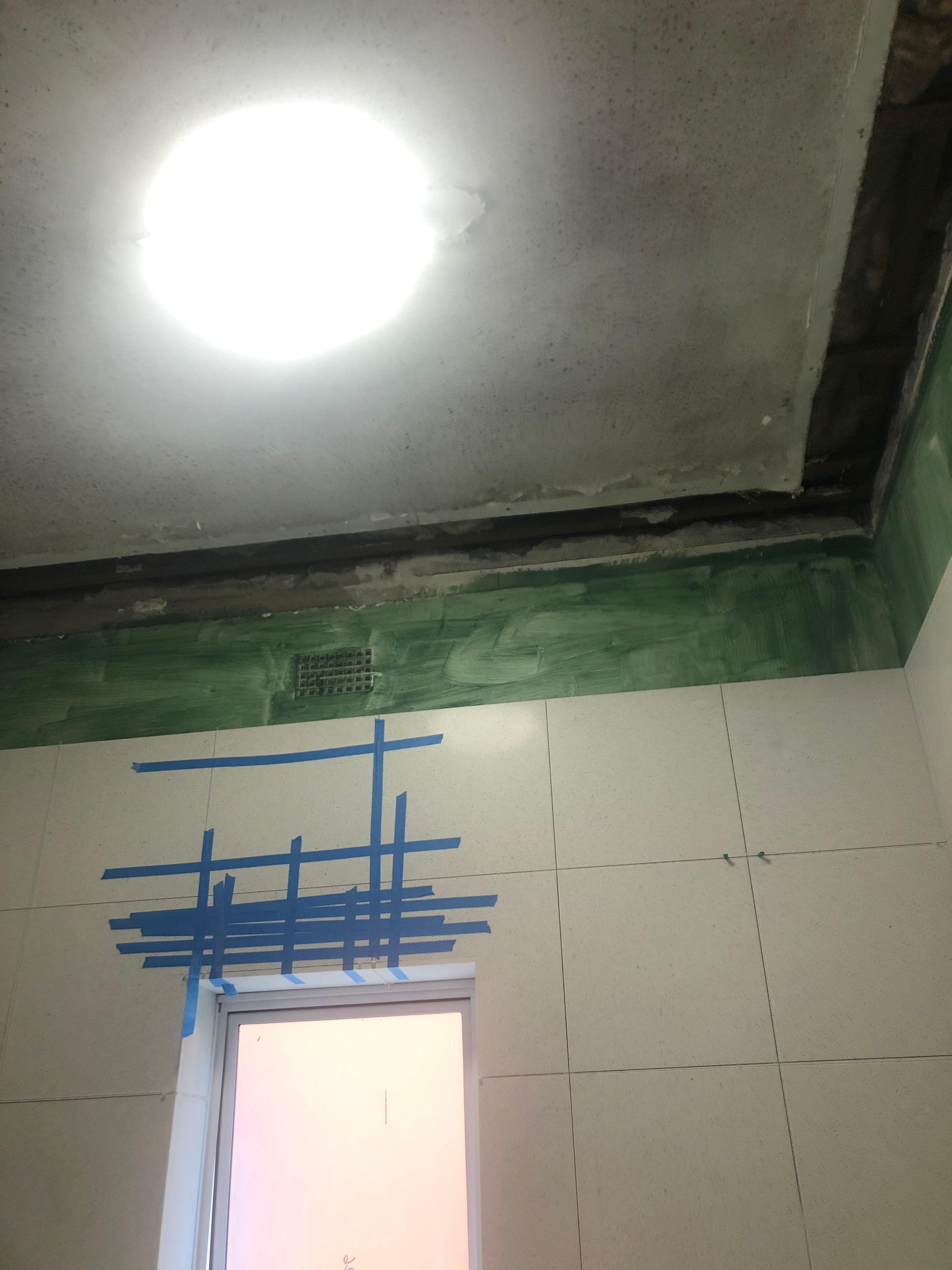 Clean or replace bathroom ceiling? Bunnings community