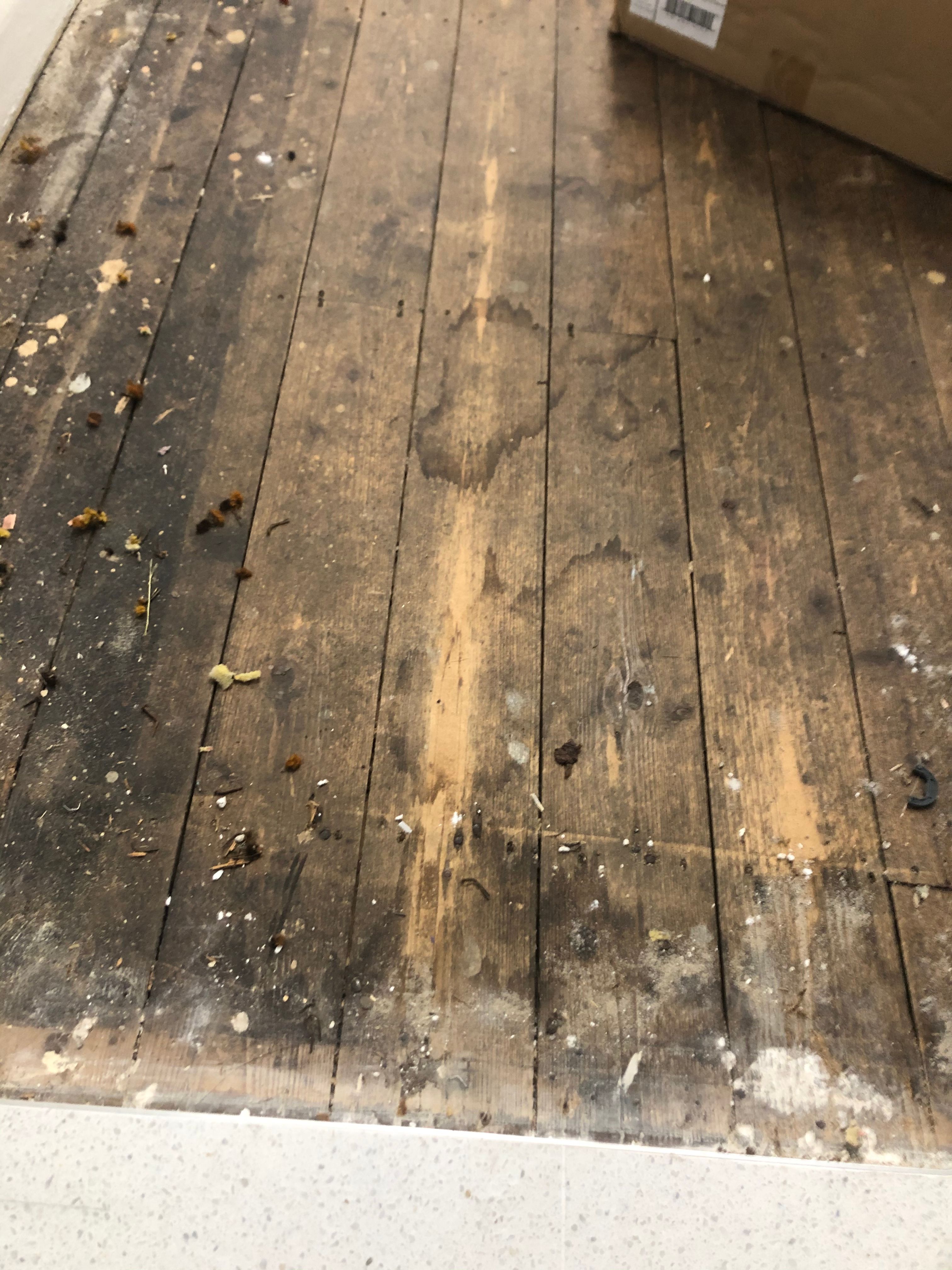 Solved Lounge and hallway floorboard sand and s... Bunnings