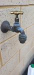 garden tap