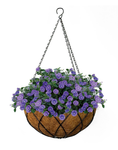 Hanging baskets.png