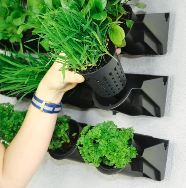 Wall-mounted planter.png