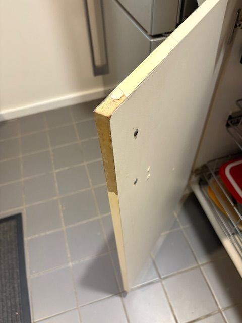 Kitchen Door IMG_4394.jpg