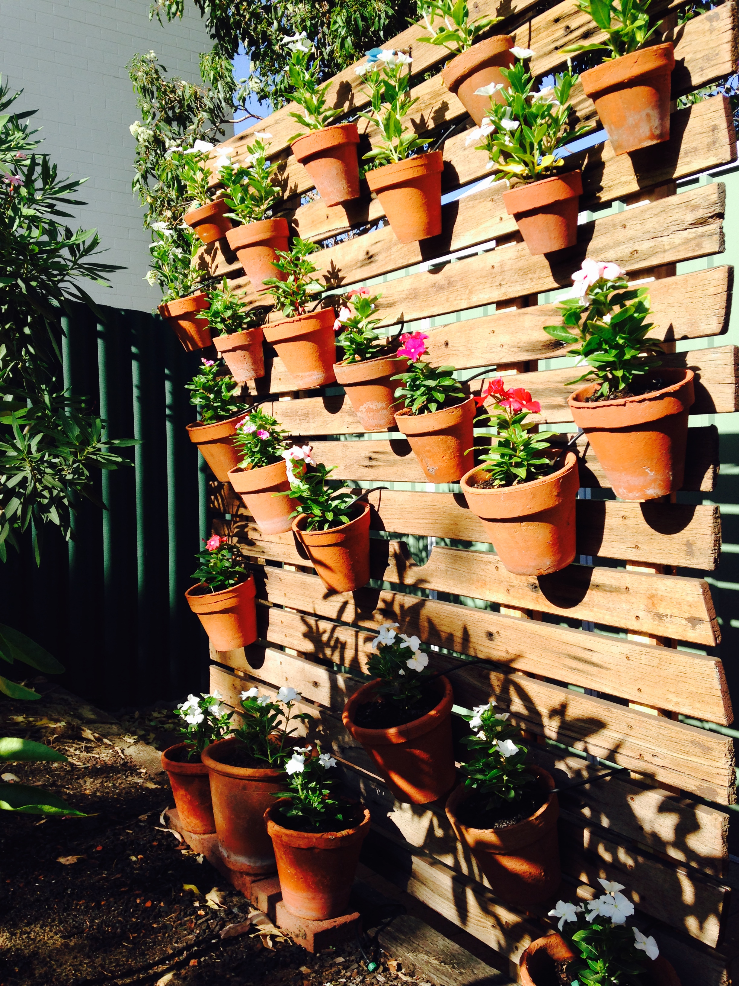 Vertical Garden from old pots and a brok... | Bunnings Workshop community