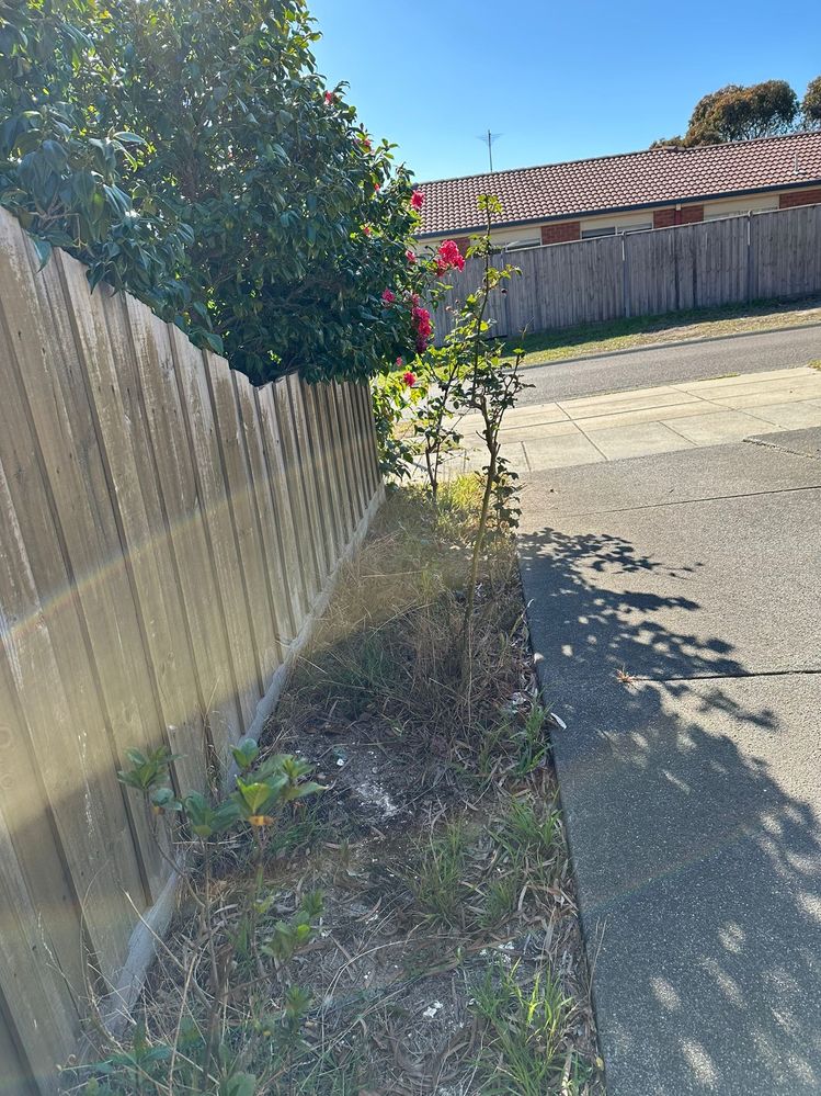 The other side soil patch next to driveway