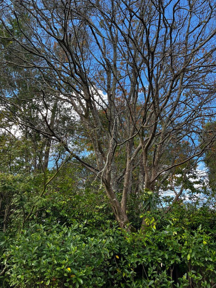 Weixin Image_20250510155849.jpg