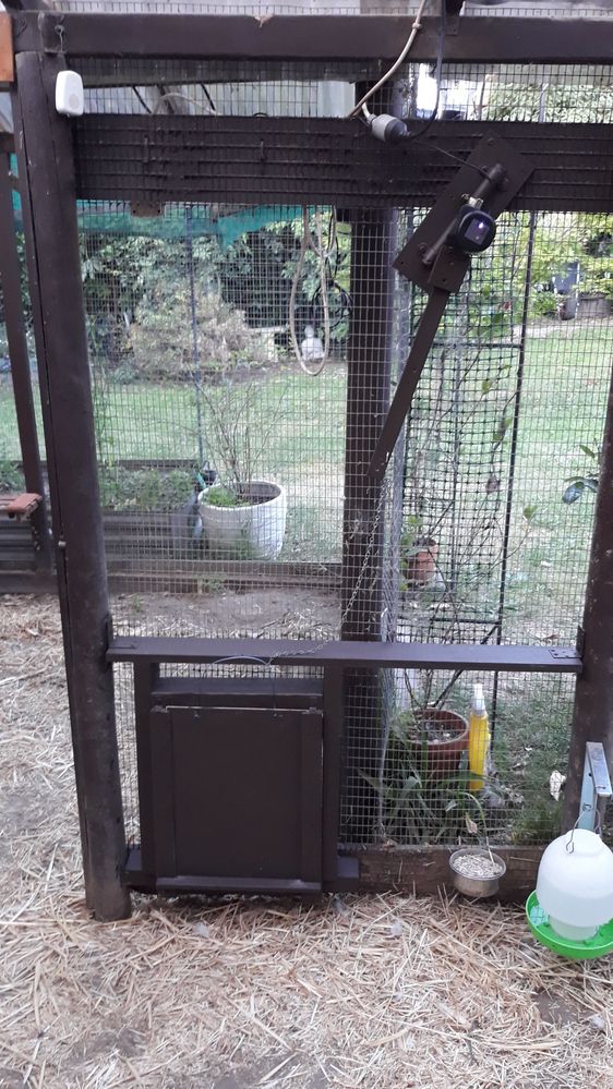 The chicken run wi-fi door.