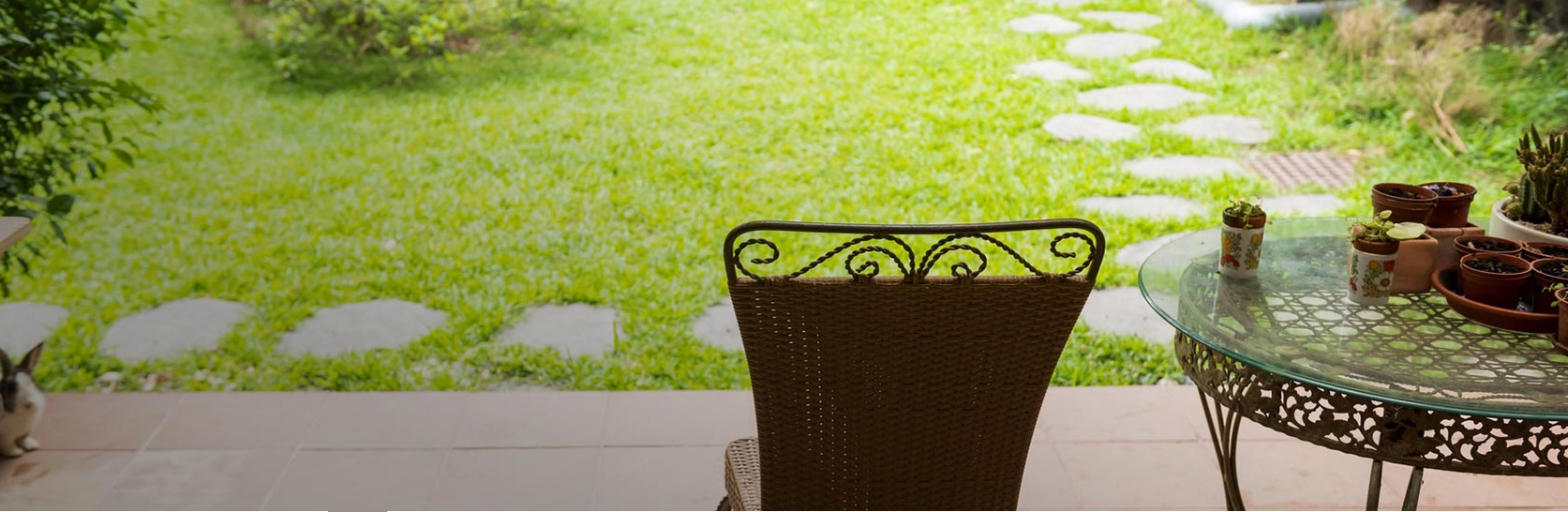 Tips for keeping your lawn looking good Bunnings community