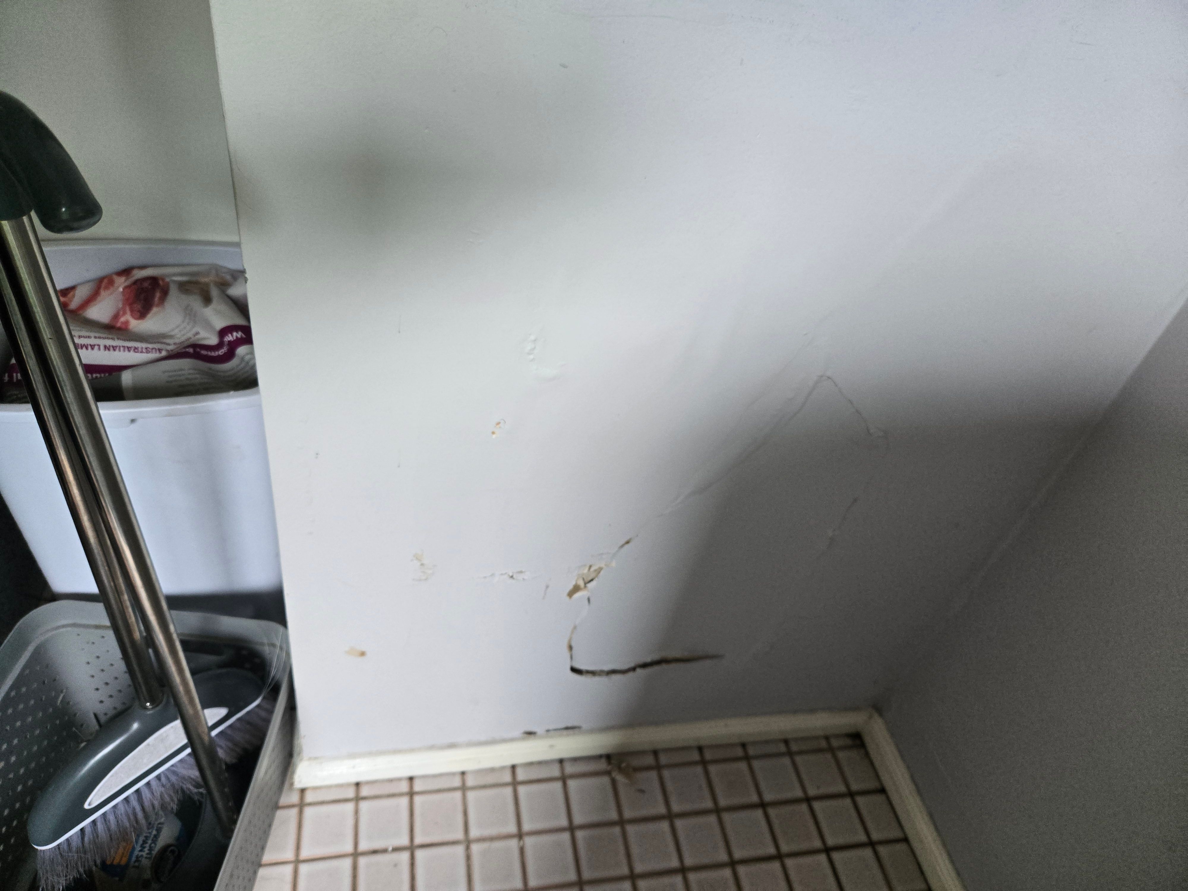 Best way to repair large hole in plaster... | Bunnings Workshop community