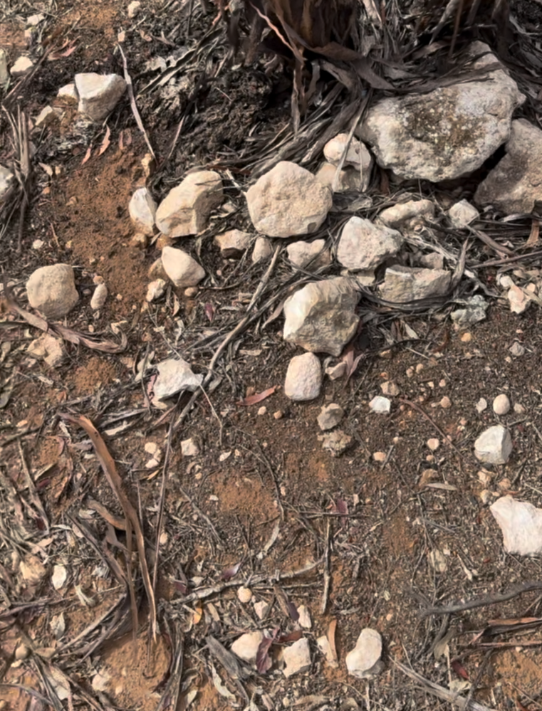 Screenshot 2025-05-18 at 9.26.28 PM.png