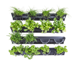 Vertical garden.png
