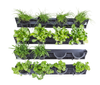 Vertical garden.png