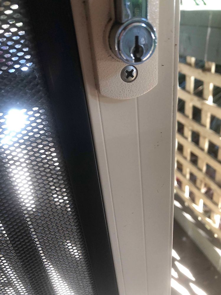 Front Security Door