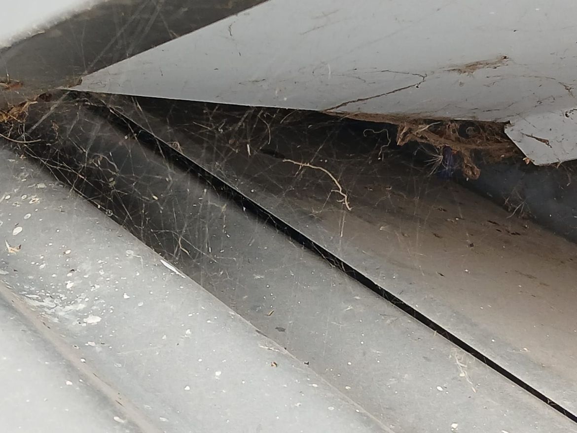 a close up of the gap