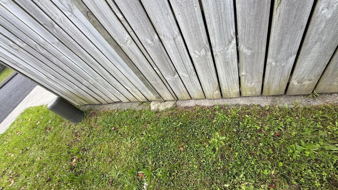 Weeds covered all over