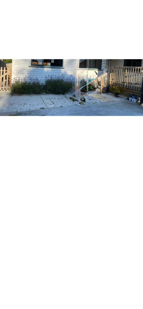 BEFORE - White stones without Weeds