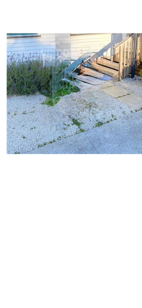 BEFORE - A few weeds still manage to clean