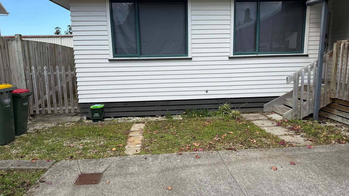 NOW - Weeds had covered the area