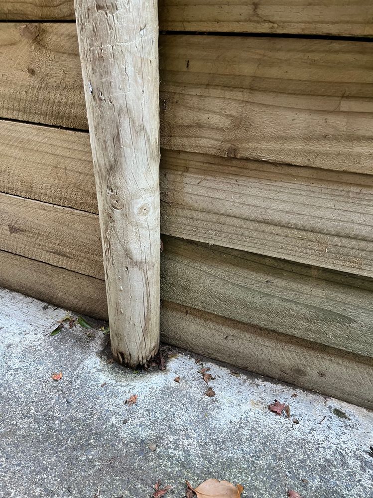 This one requires urgent action.