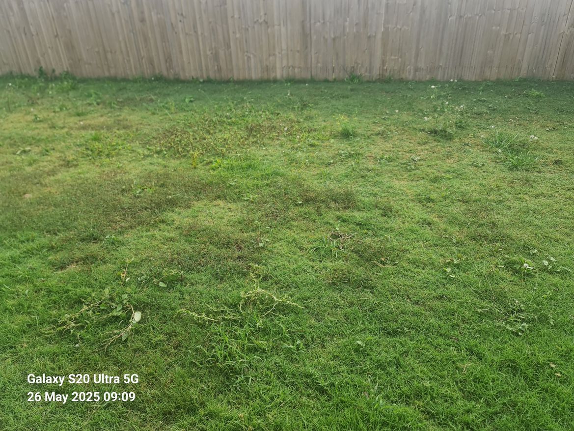 WhatsApp Image 2025-05-26 at 09.33.33 (8).jpeg