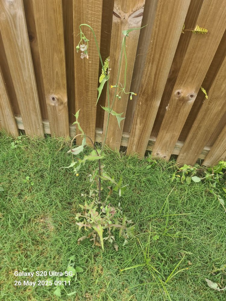 WhatsApp Image 2025-05-26 at 09.33.33 (6).jpeg