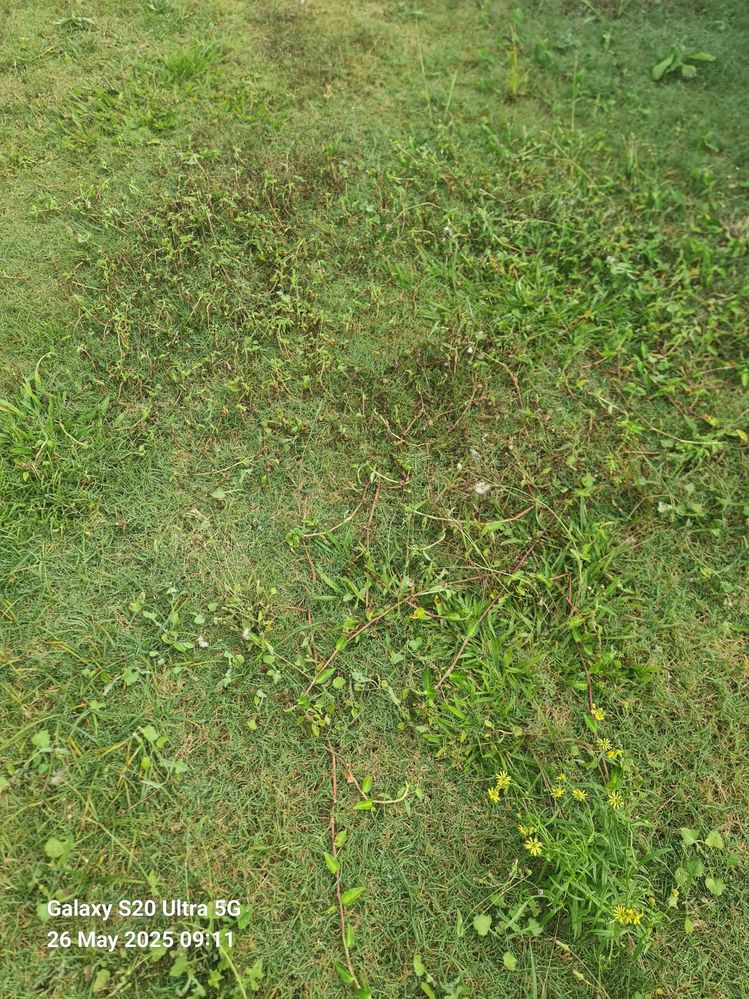 WhatsApp Image 2025-05-26 at 09.33.33 (5).jpeg