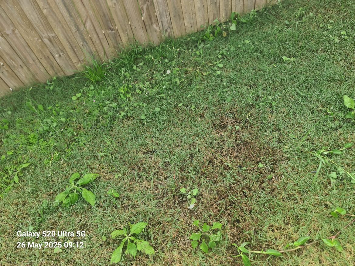 WhatsApp Image 2025-05-26 at 09.33.33 (2).jpeg