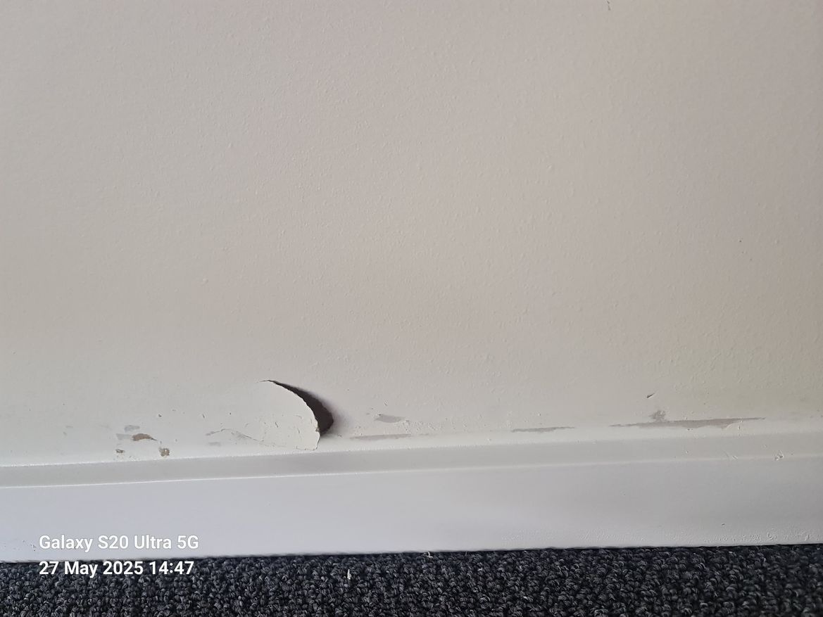 WhatsApp Image 2025-05-27 at 14.55.27.jpeg