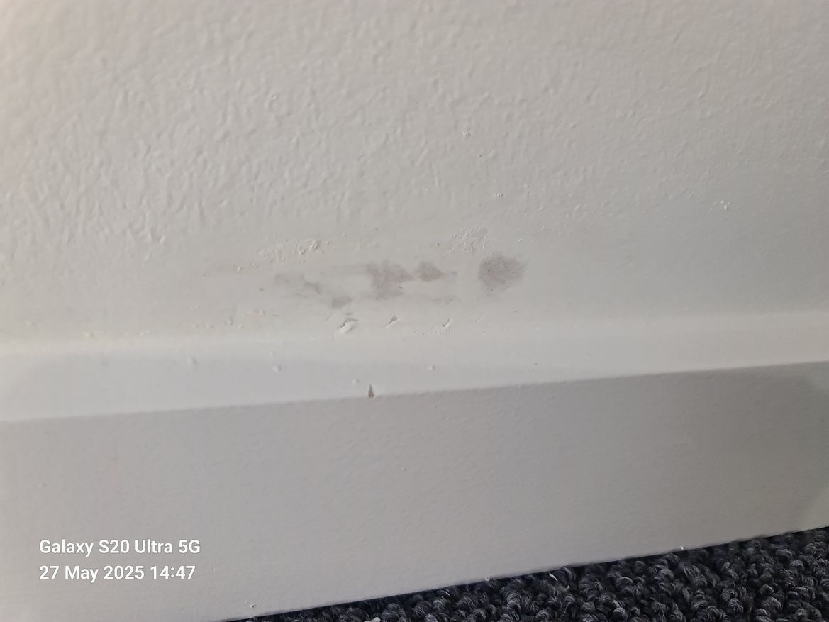 WhatsApp Image 2025-05-27 at 14.55.28 (1).jpeg