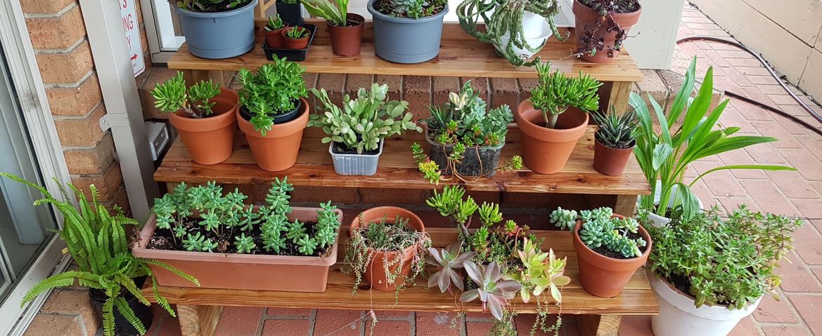 Tiered stand by Jl.jpg