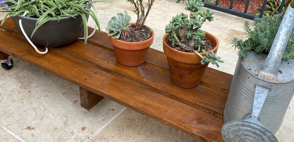 Skateboard-style stand by Greenshoots.jpg