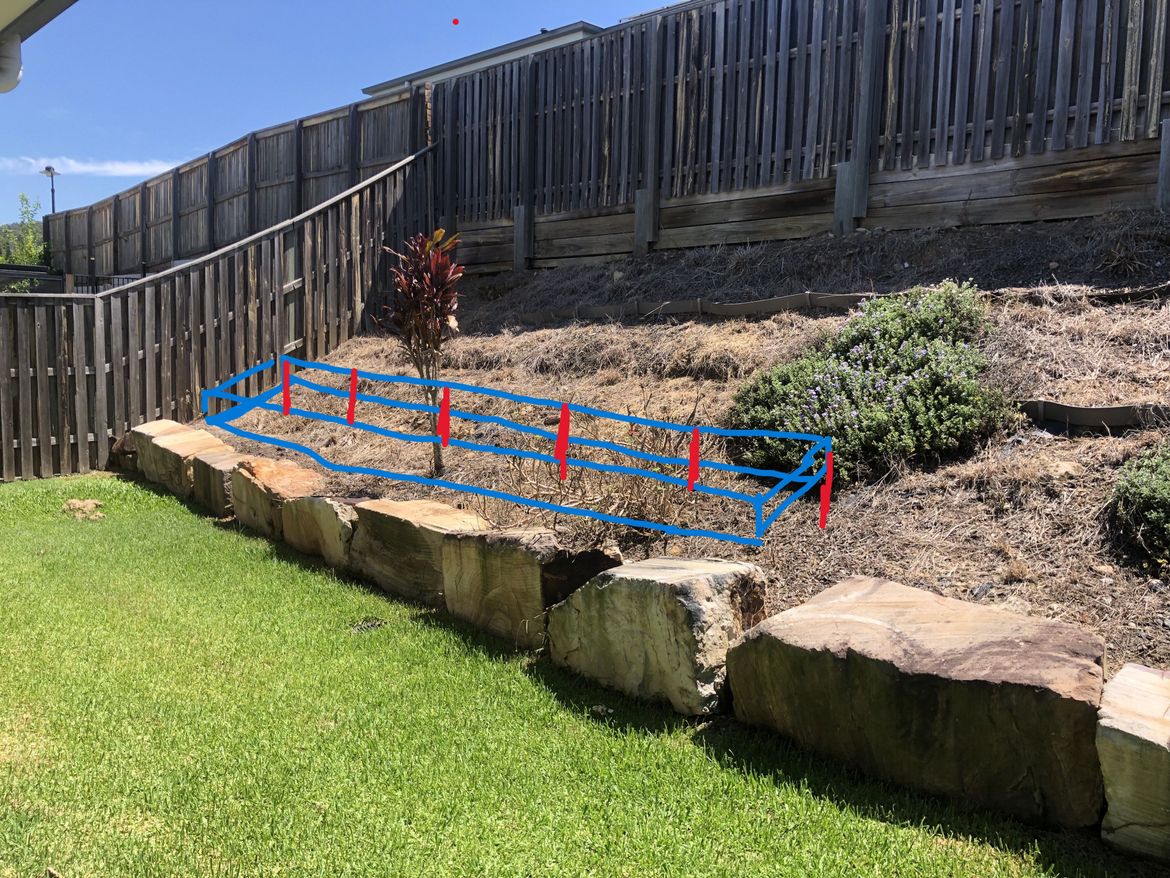 backyard 1 - Copy.jpeg