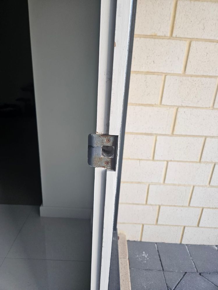 WhatsApp Image 2025-06-07 at 07.44.00.jpeg