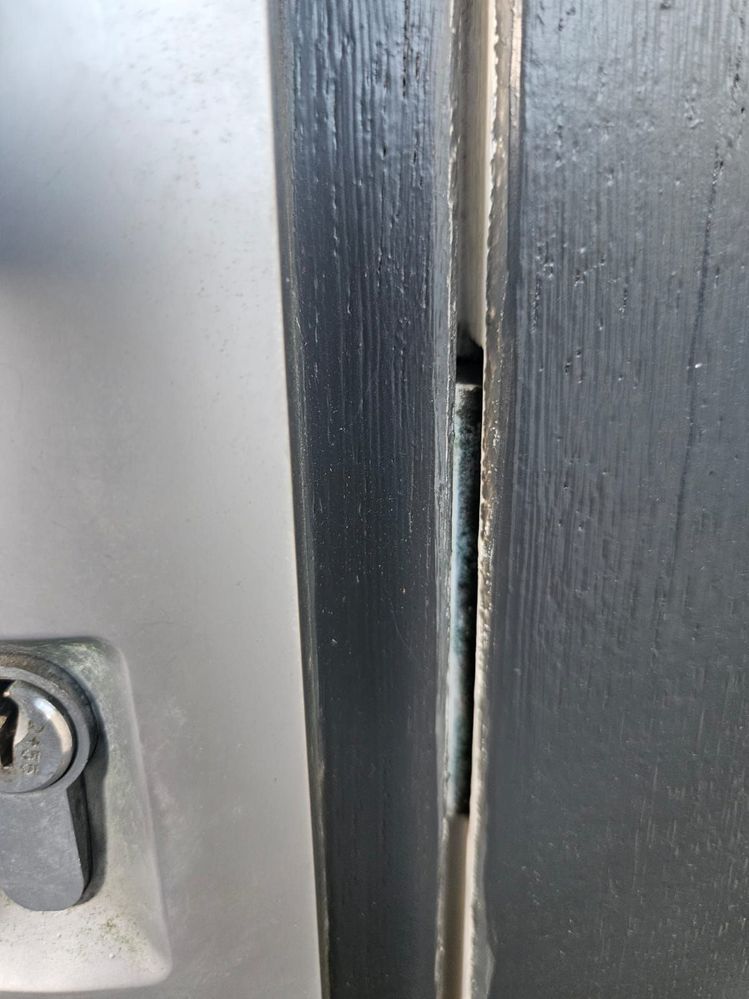 WhatsApp Image 2025-06-07 at 07.44.01.jpeg