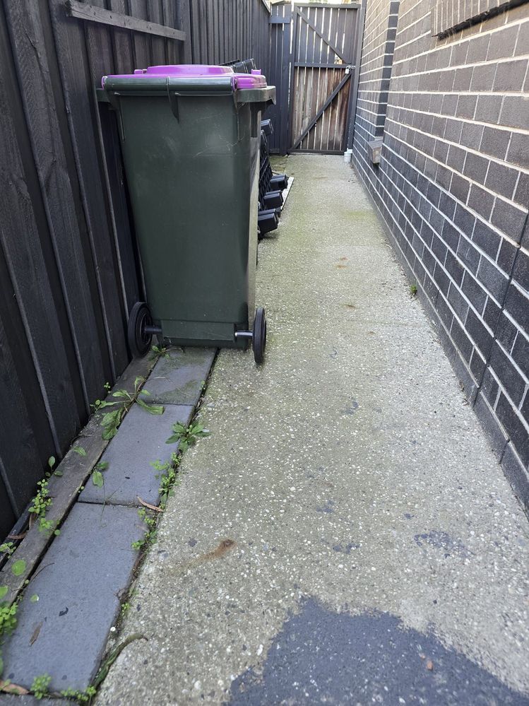 WhatsApp Image 2025-06-13 at 14.51.13.jpeg