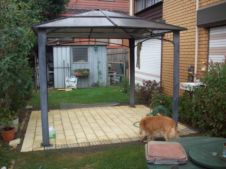 464855663_10235147373007882_9093908347298318614_n (1).jpg