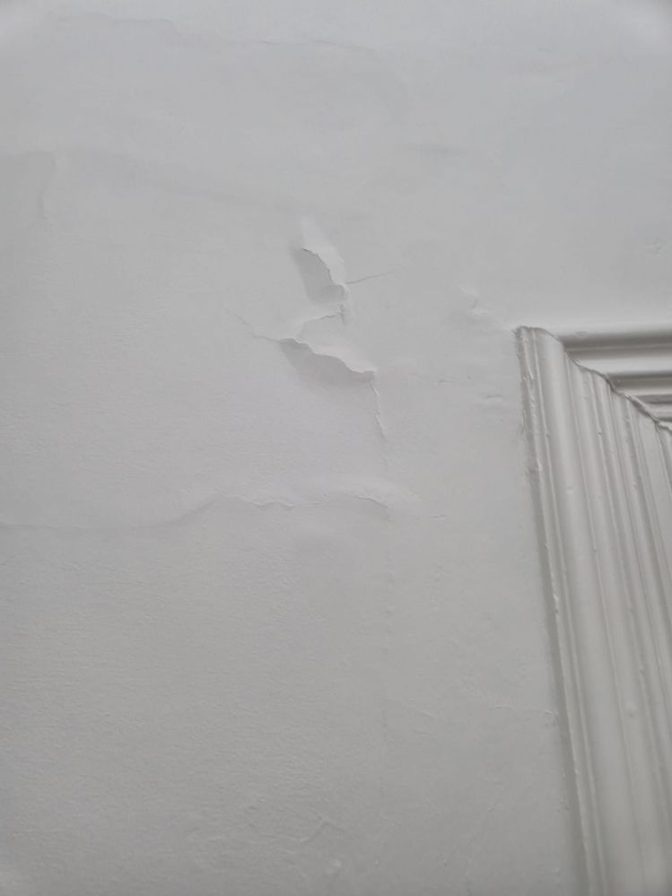 WhatsApp Image 2025-06-17 at 15.04.43_f59dbf04.jpg