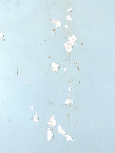 scraped paint from wallpaper removal