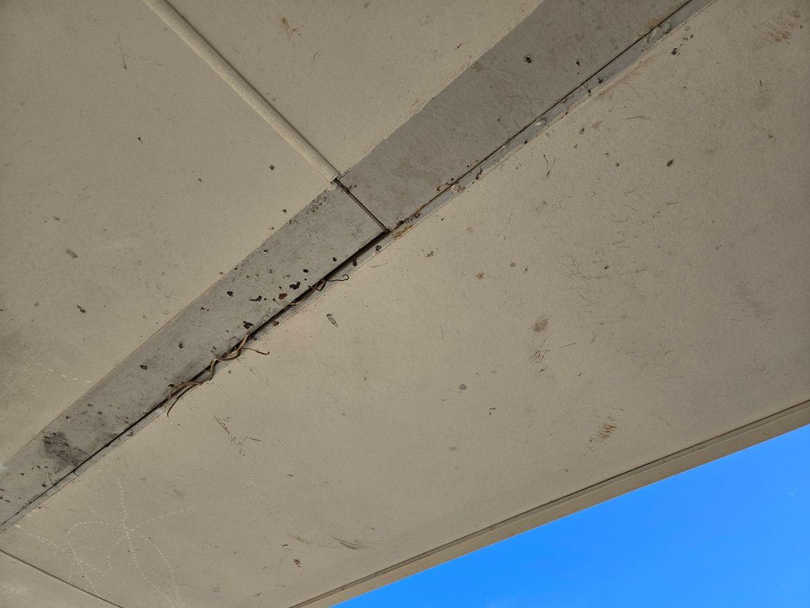 verandah ceiling.jpg