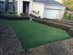 Artificial Grass.JPG