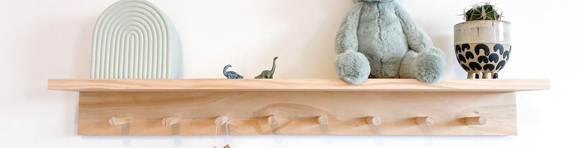 ProjectPete shelf.jpeg