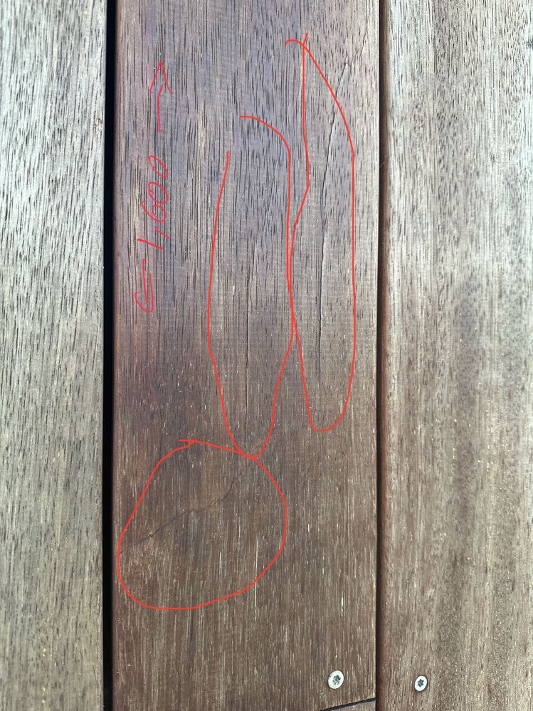 Merbau defects 4.jpeg