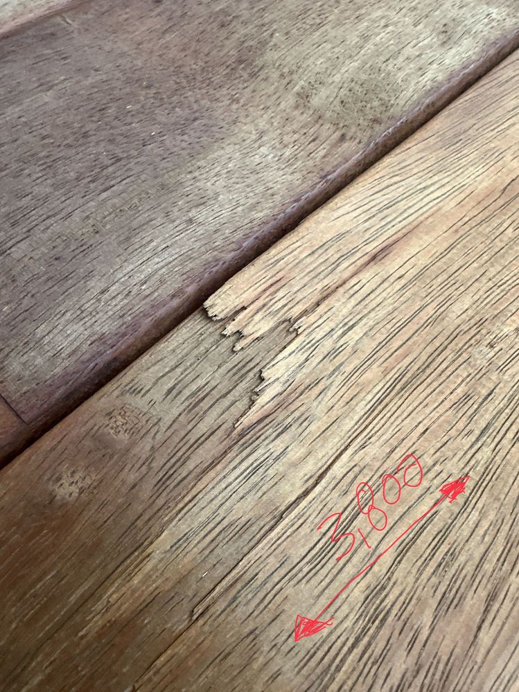 Merbau defects 10.jpeg