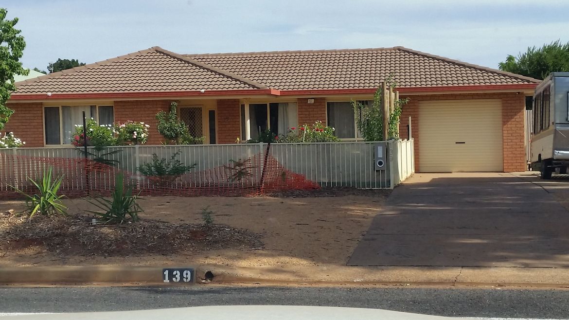 Planted some trees out the front - put up some lattice trellises