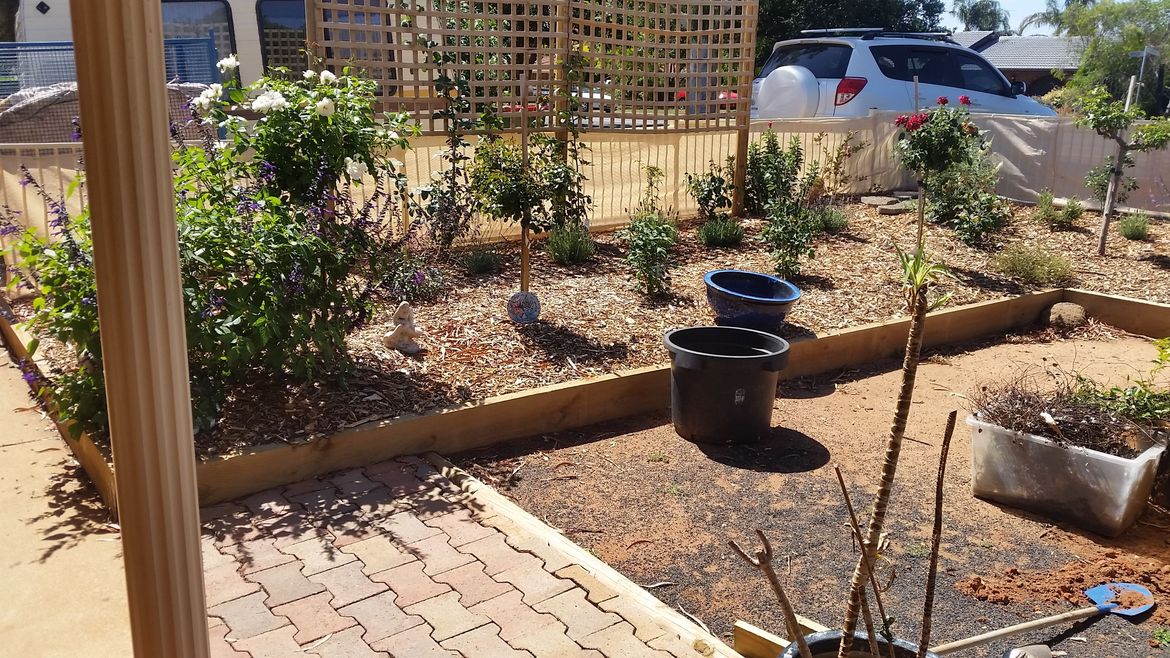 Installed trellises posts and quick set concrete on one side of the front yard.he house.