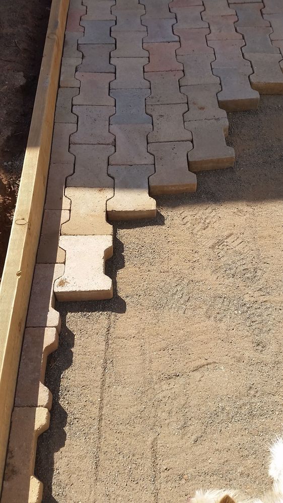 Time to pave along the front of the house.